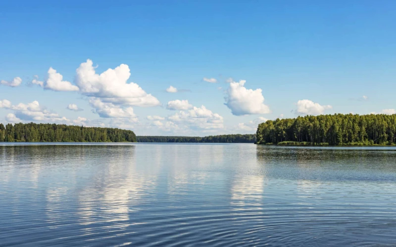 <p>Swim in the lake</p>