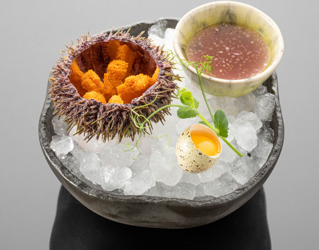 Sea Urchin